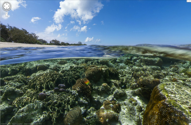 Image from Lady Elliott Island, Great Barrier Reef, Australia (Google Street View)