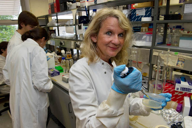 Gene-replacement therapy being pioneered at TCD
