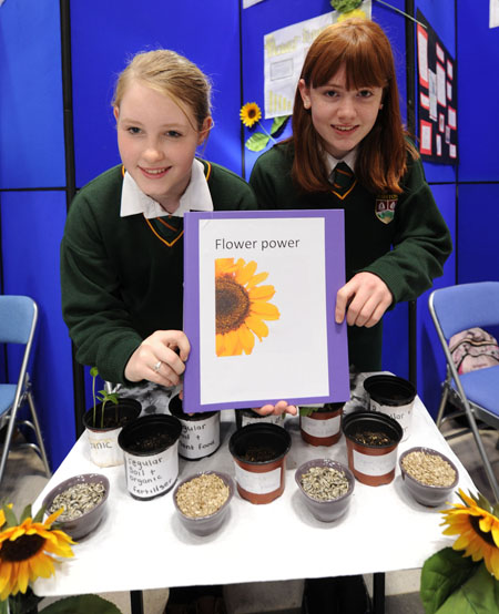 Lauren Elliffe Smith and Natasha Roche from Ashton Secondary School, Cork, pictured with their project 'Looking at how soil types and plant food affect plant growth' at last year's SciFest at CIT 