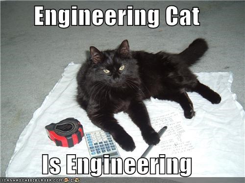 engineering cat