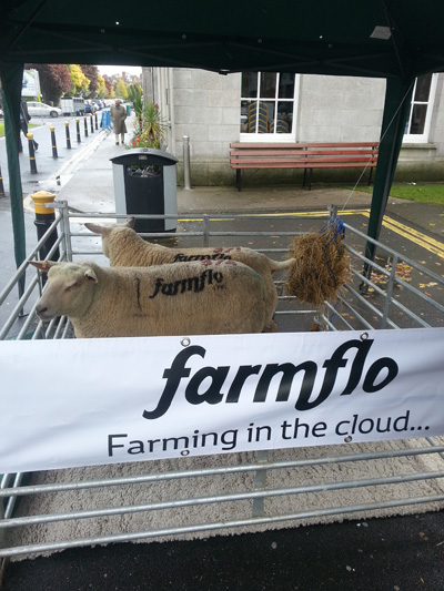 Gareth and Jason Devenney caused a stir at the 2012 Dublin Web Summit when they decided to market Farmflo using branded sheep in a pen outside of the RDS building 