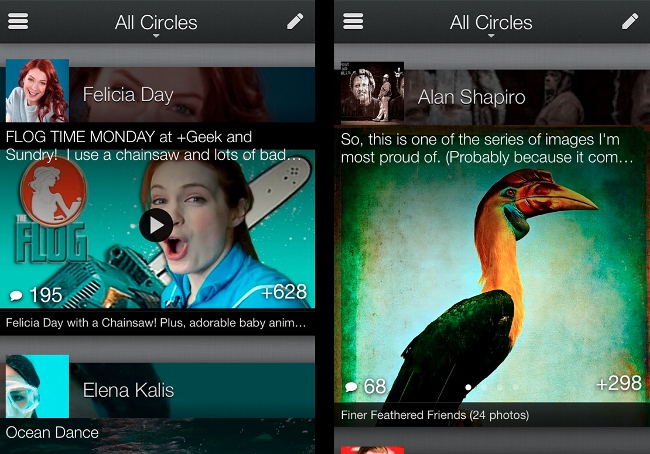 Google+ for iPhone stream and image gallery screens