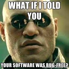 Software developer meme