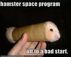 Space hamster