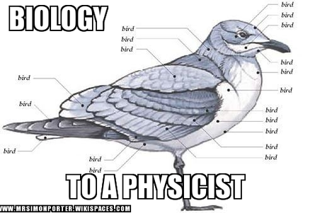 Physicist meme