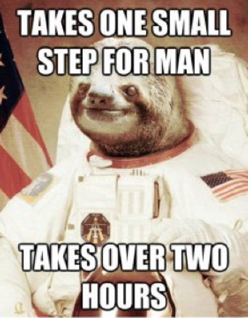 Astronaut sloth