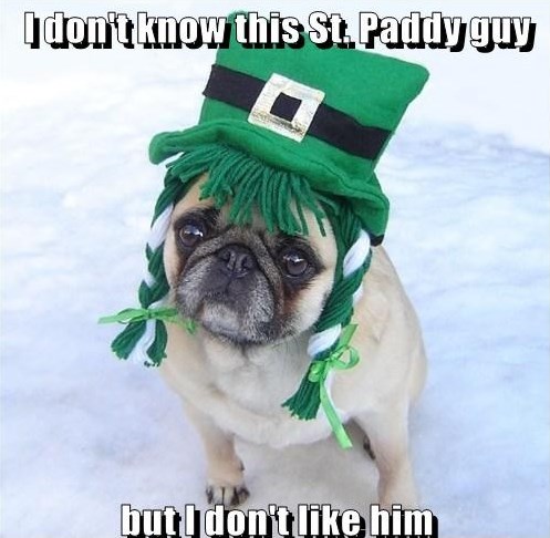 St Patrick's Day memes