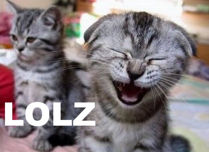 OMG, hella ridic: 'lolz' has made it into Oxford Dictionaries Online - Gear