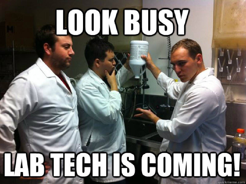 funny lab tech memes Brighten phlebotomy phrases science - UpdateBanget.id