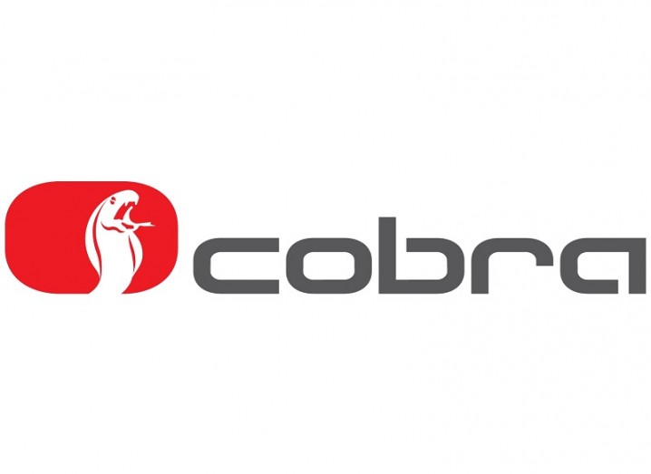 Vodafone Planning To Buy Cobra Automotive For 145m Companies Siliconrepublic Com Ireland S Technology News Service