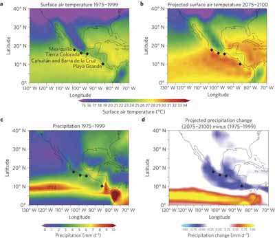 Surface air temperature and precipitation projections under the Intergovernmental Panel on Climate Change SRES A2 in the area encompassing the four main leatherback nesting sites in the eastern Pacific. Image credit: Nature Climate Change