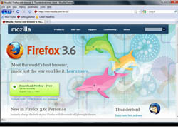 Firefox. Image courtesy of Mozilla.com