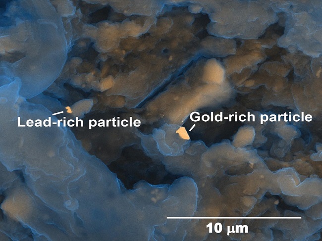 Gold-particles