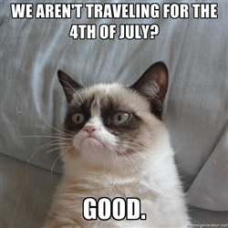 Grumpy Cat 4th of July meme