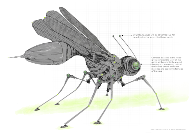 Insect camera