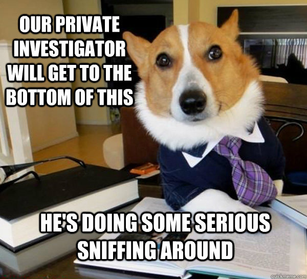 Private investigator meme
