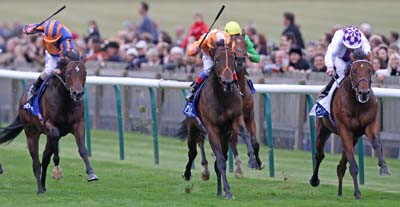Parish Hall (far right), pictured winning the Group 1 Dubai Dewhurst Stakes at Newmarket in October 2011 for owner and trainer Jim Bolger 