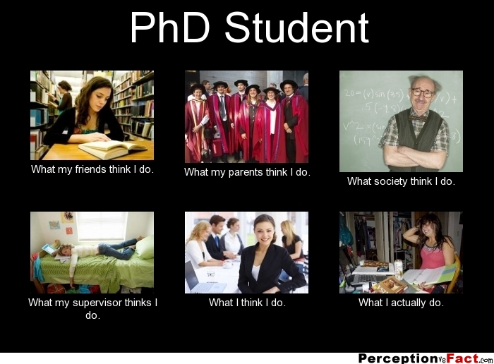 phd candidate memes