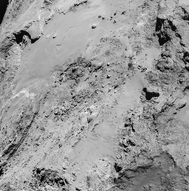 Rosetta-close-up-1