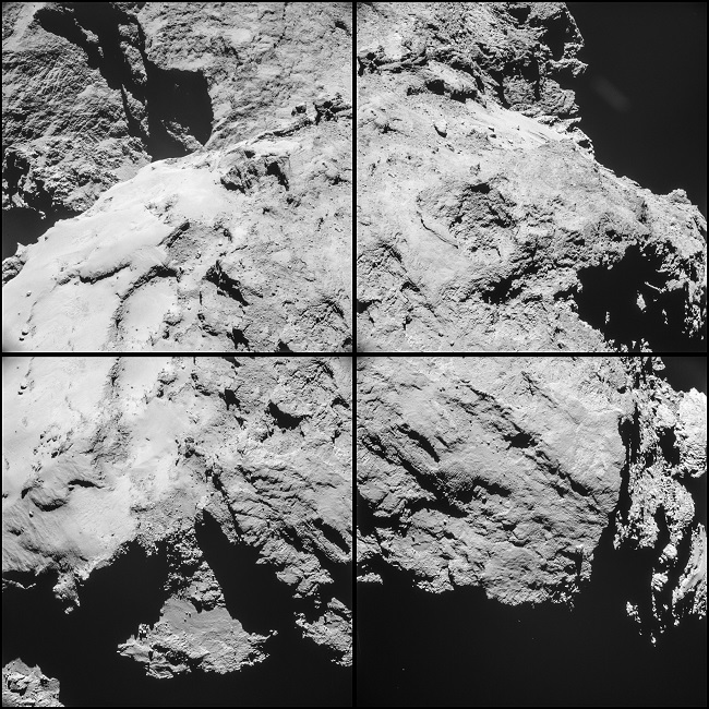 Rosetta-close-up-2