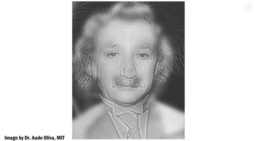 Einstein or Monroe?