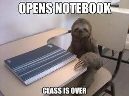 sloth student