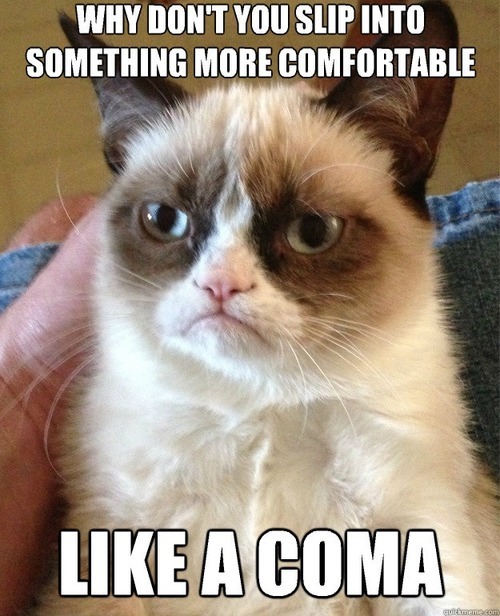 Valentine's Day memes - Grumpy Cat