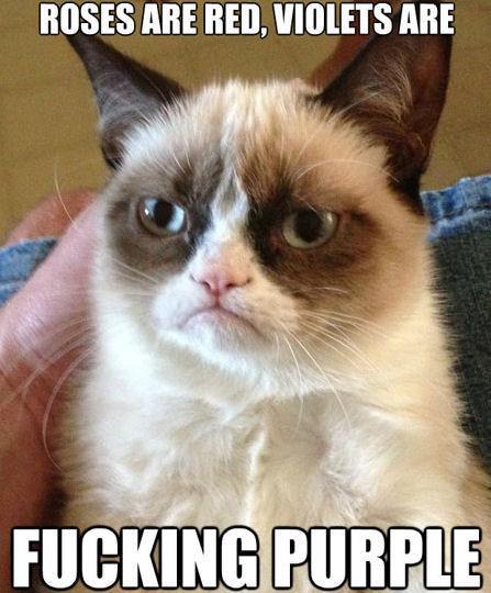 Valentine's Day memes - Grumpy Cat