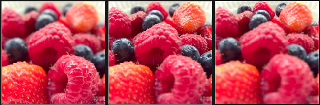 Berries by Ian Storrs (Lytro image)