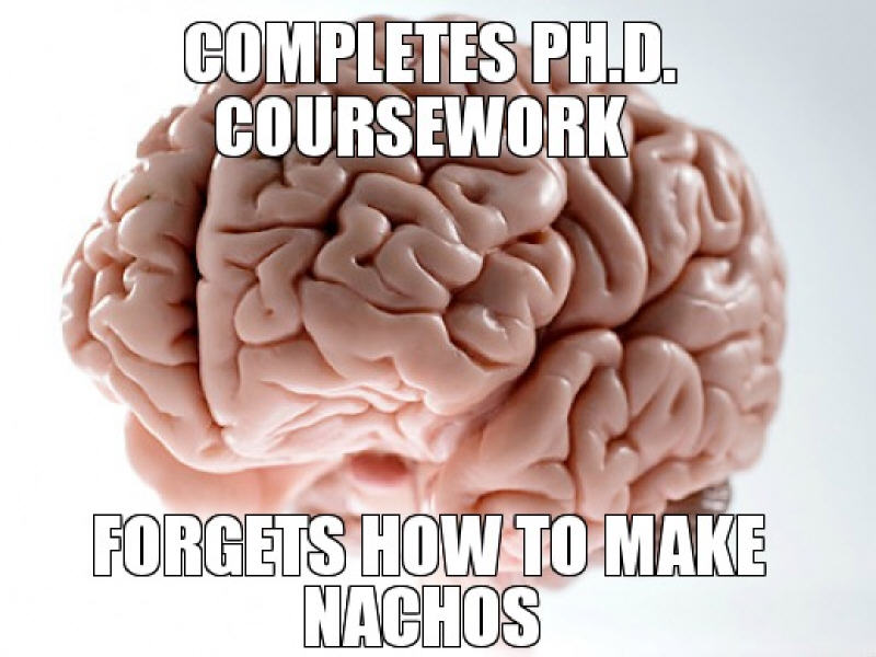 PhD meme