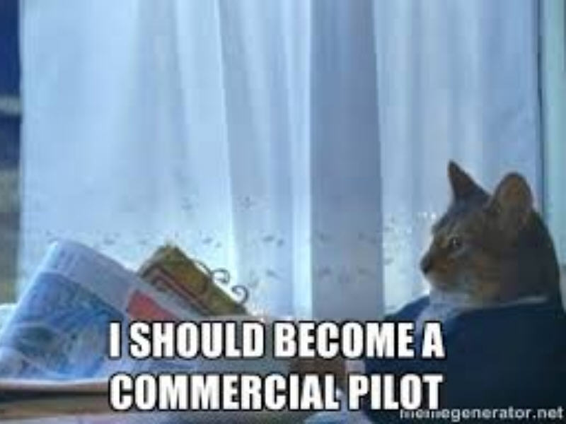 Pilot career meme