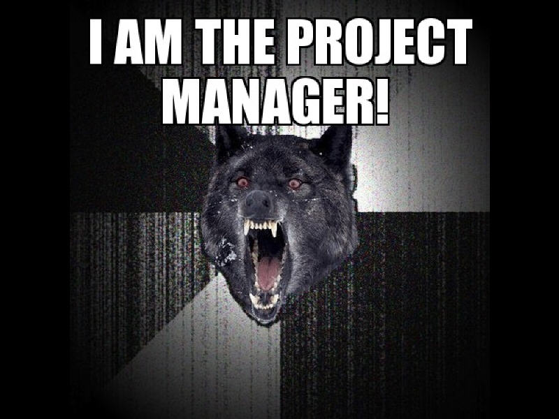 Project manage meme