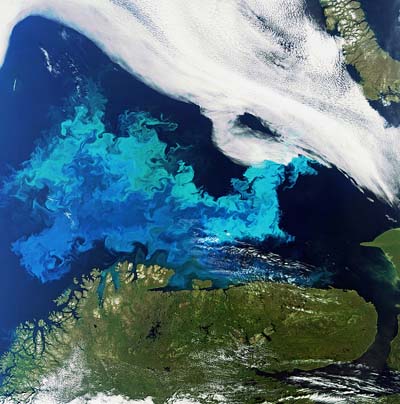 The MERIS instrument on Envisat monitored phytoplankton, the base of the marine food chain that play a huge role in the removal of carbon dioxide from the atmosphere and the production of oxygen in the oceans. Different types and quantities of phytoplankton exhibit different colours. Image credit: ESA 