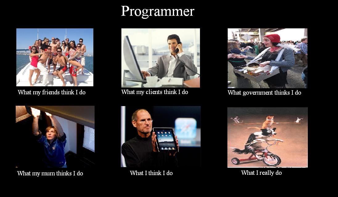 Programmer meme