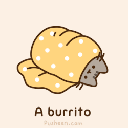 Pusheen burrito costume
