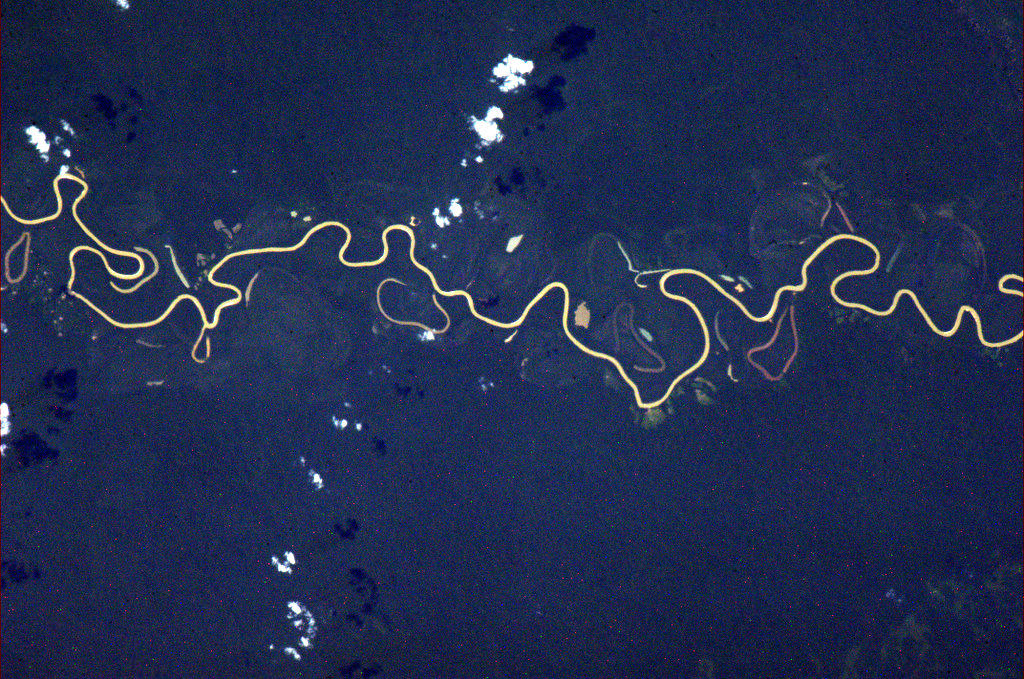 Amazonian river