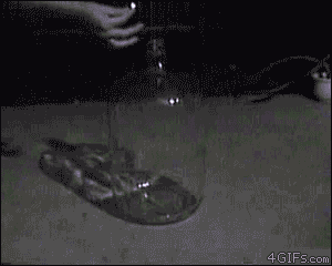 Whoosh bottle experiment GIF