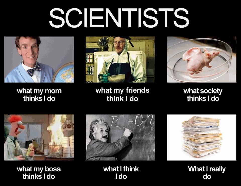 science phd memes