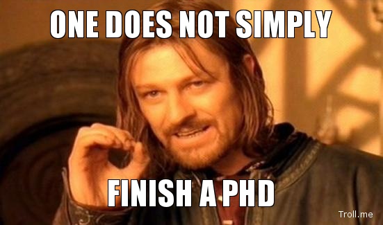 PhD memes