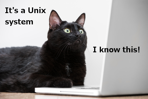 Unix system meme