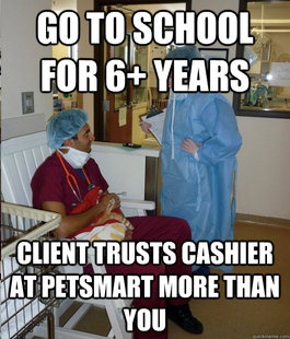 10 vet tech memes examine the career - Careers ...