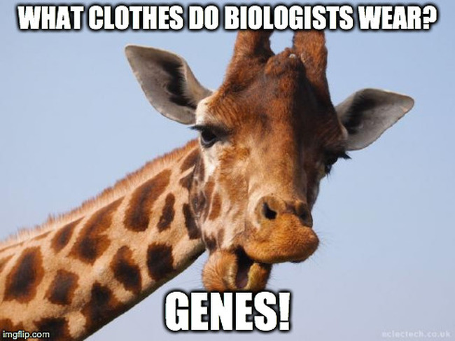 Biologists' genes