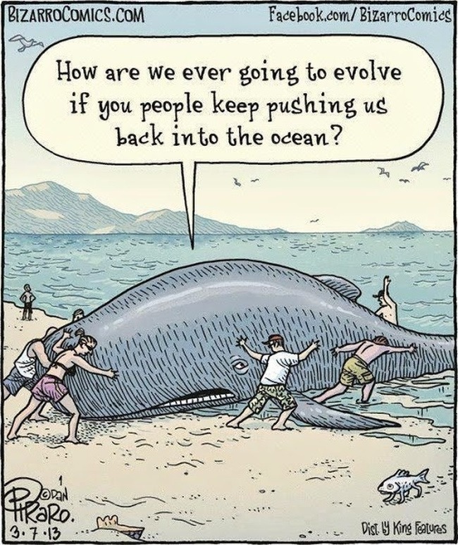 Biologist meme, whale tries forcing evolution, humans having none of it