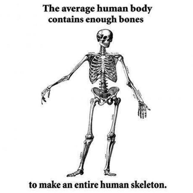 Biologist meme, skeleton humans