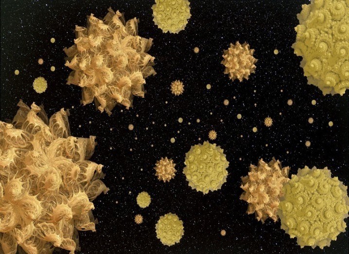 Microbes in space
