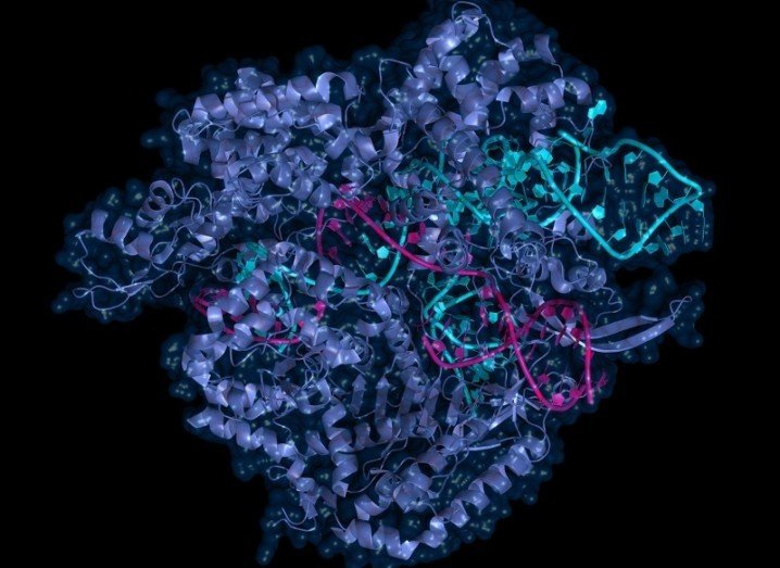 CRISPR-Cas9