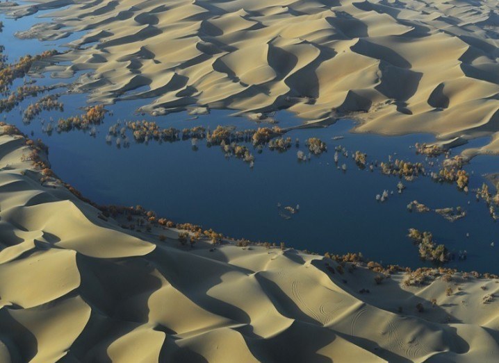 Giant carbon sink China