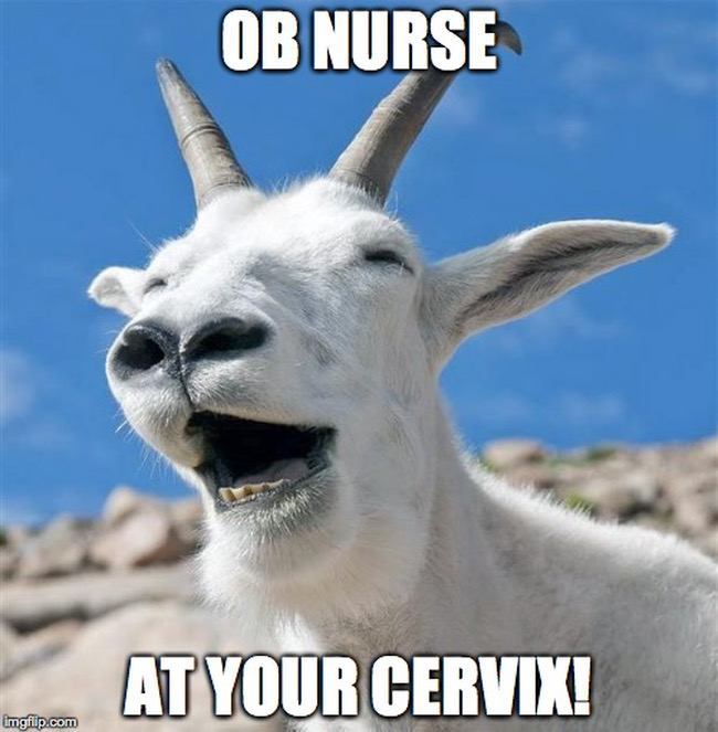 Nurse meme pun