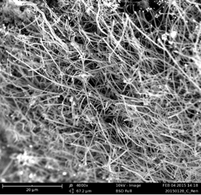 Carbon nanofibres