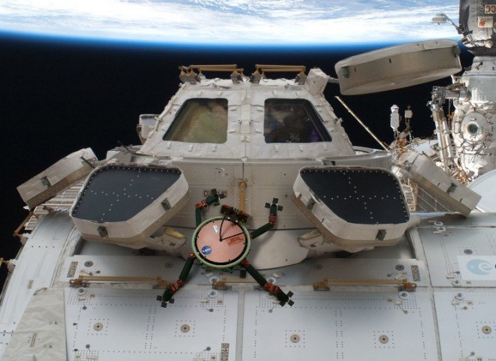 NASA-gecko-lemur-space
